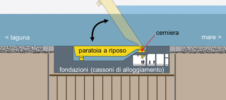 Video – Come <span class=